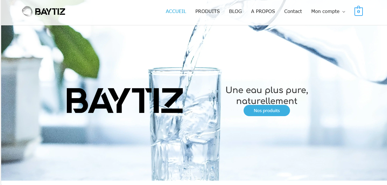 Capture d'écran de l'accueil du site baytiz