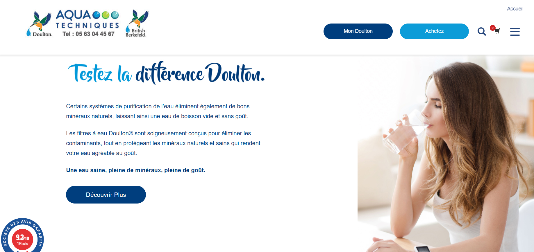 Capture d'écran de l'accueil du site Doulton
